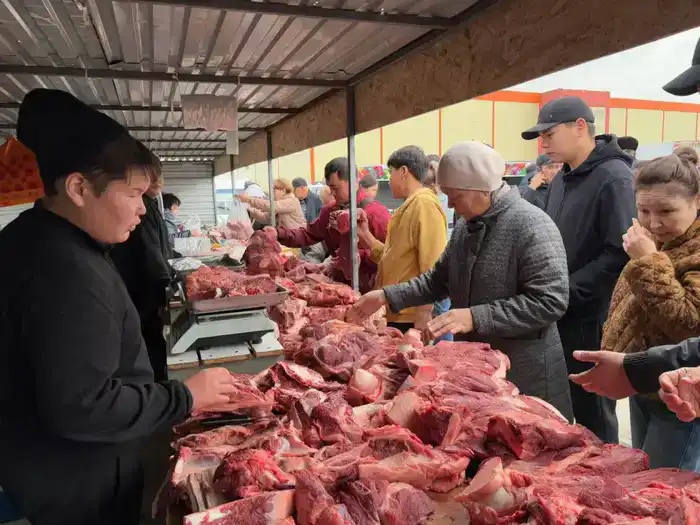 Объём сельскохозяйственной продукции в Мангистауской области достиг 38 млрд тенге (4)