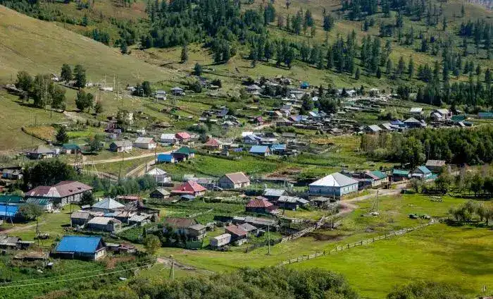 Рост сел без алкоголя в Туркестанской области