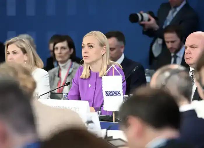 Казахстан выступил за укрепление диалога и соблюдение основополагающих принципов ОБСЕ (6)