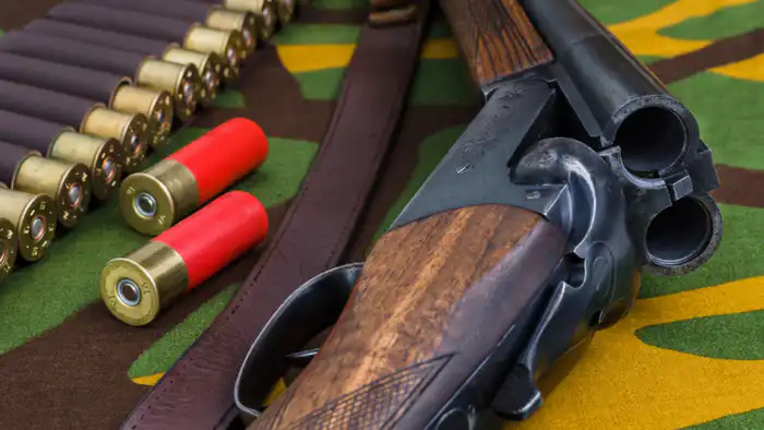 Ужесточение требований к владельцам оружия в Казахстане: новые правила и их социальные последствия