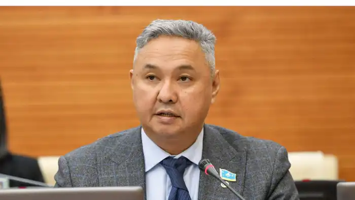 Система государственной поддержки бизнеса в Казахстане: кто на самом деле получает помощь?