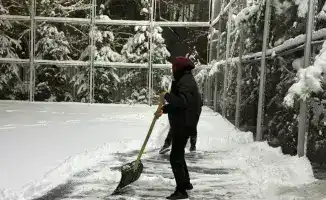Алматы: экологический флешмоб молодежи, превращающий город в зеленую оазис