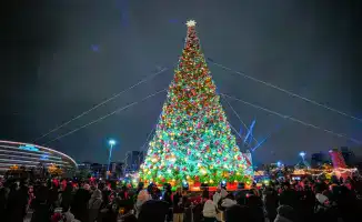 Астана оживает: более 40 ёлок зажгли огни