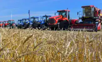 Рост производства сельхозпродукции на 6,1% свидетельствует о стабильности аграрного сектора