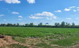 AgroSky: внедрение дронов и ИИ в сельское хозяйство Караганды способствует экономии ресурсов и увеличению урожайности