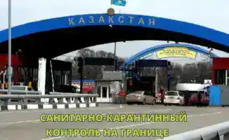 Эффективность санитарно-карантинного контроля на границе: защита от инфекционных угроз
