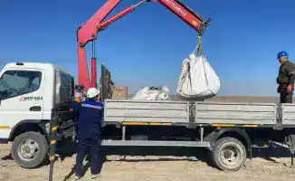 Нарушение природоохранного законодательства компанией «Karabatan Utility Solutions»: последствия и меры восстановления окружающей среды