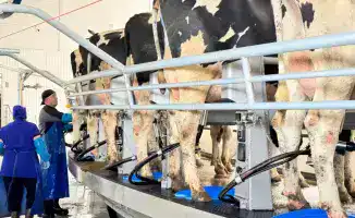 Запуск программы тиражирования опыта СКО приводит к реализации 84 инвестпроектов в АПК