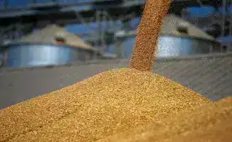 Казахстан наращивает объемы экспорта зерна