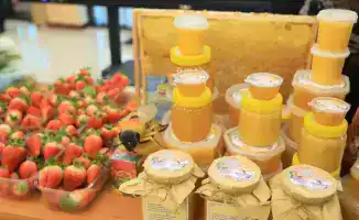 Успех программы «Ауыл аманаты»: открытие более 500 бизнесов и создание тысяч рабочих мест в сельской местности