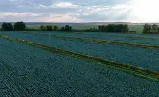 Казахстан картофель 2,9 млн тонн урожай 2025 диверсификация