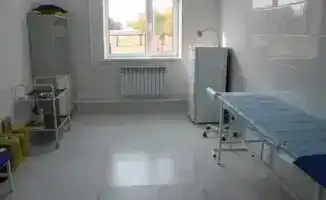 В Карасайском районе открываются три новых медицинских объекта