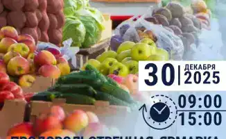 Ярмарка в Шымкенте: доступные продукты к Новому году как способ поддержать местных производителей