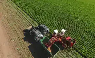 Акмолинская область увеличивает инвестиции на 52,3%, создавая новые рабочие места