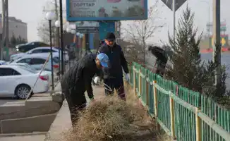 Сообщество объединяется для улучшения чистоты и красоты улиц в районе