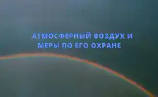 Чистый воздух: легкие Казахстана на страже здоровья и экологии