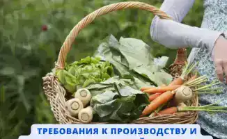 Органические продукты: как выбрать в нашем городе?
