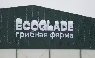 Казахстан открывает крупнейшую грибную ферму для увеличения внутреннего производства