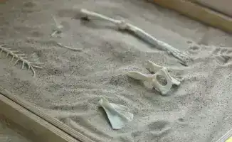 Семинар «В мире профессий» прошел в детском саду №84 «Каусар» в Астане