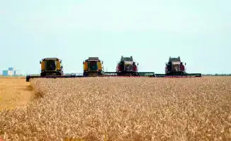 Крыша для урожая: Казахстан запускает программу кредитования для обновления элеваторов