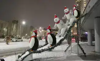 В столичном районе Есиль высадили более 200 тысяч зеленых насаждений за год, улучшая городской ландшафт