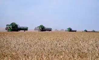 Акмолинская область: лидер по валовому сбору зерна в Казахстане и новые возможности для экспорта