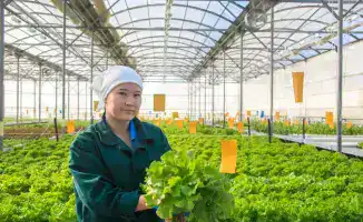 Рост предпринимательской активности в Жетісу: увеличение числа субъектов малого и среднего бизнеса на 4% в 2024 году