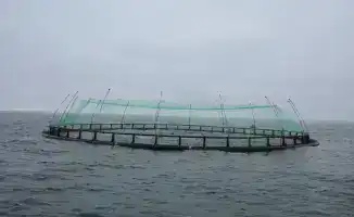 Проект по выращиванию морского лосося в Мангистау: новый импульс для рыбного хозяйства региона