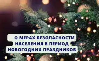 Риски для здоровья и безопасности населения в новогодний период: что необходимо знать