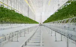 Туркестанская область: под прицелом агропромышленных инноваций