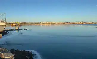 Очистка бухты Бертыс озера Балхаш: шаг к улучшению экологической ситуации в Карагандинской области