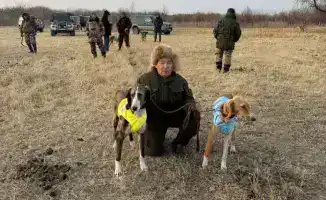 Кто победил в охотничьей дуэли тазы и зайца?