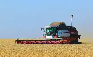 Объем продукции сельского хозяйства в регионе увеличился до 1,1 трлн тенге за три года