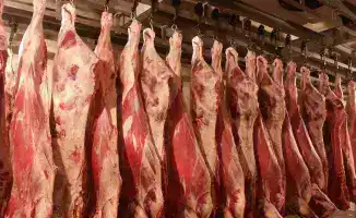 Мясной урожай: свыше 1 миллиона тонн продукции собрали за 11 месяцев 2025 года