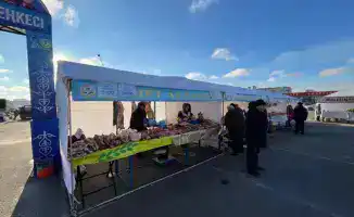 Ярмарка в Караганде: доступность мяса и овощей способствует снижению цен на продукты