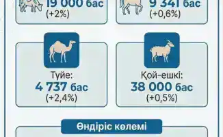 Махамбет: поля удвоились, урожай взлетел!