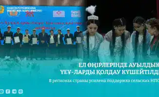 Сельские НПО Казахстана получают поддержку: 194 организации прошли обучение, 18 малых грантов выделены на местные проекты