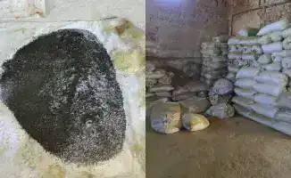 В Туркестанской области обнаружен подпольный цех по производству насвая: угроза общественному здоровью и безопасности