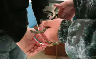 В Алматы раскрыто 20-летнее дело об убийстве и изнасиловании пенсионерки