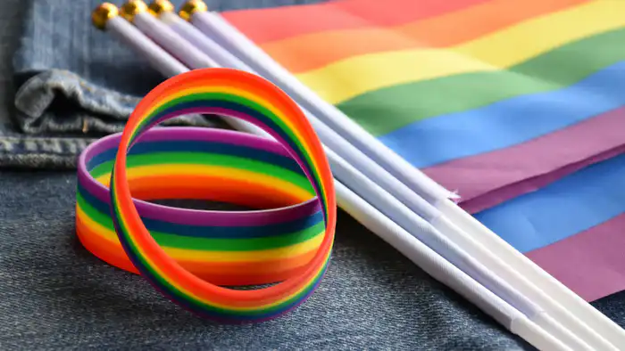 В Казахстане до конца 2025 года рассмотрят законопроект о запрете пропаганды ЛГБТ, сообщает Tengrinews.kz. Сенат и депутаты планируют обсудить поправки, которые могут значительно повлиять на права ЛГБТ-сообщества в стране.