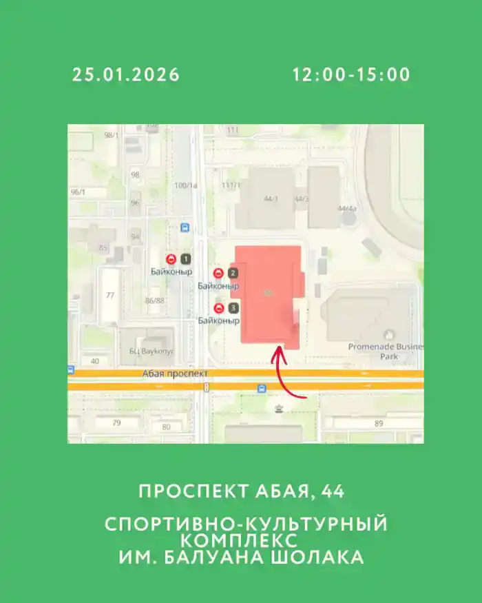 В Алматы пройдет открытое экомероприятие Recycle Birge (3)