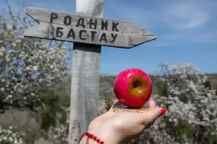 Экологический туризм в Жетісу: число посетителей национальных парков за год достигло 40 тыс. человек (7)