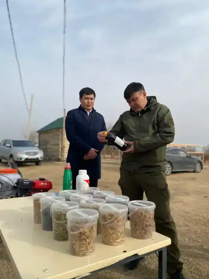 В ТУРКЕСТАНСКОЙ ОБЛАСТИ ПРОВЕРИЛИ РАБОТУ ЛЕСНЫХ ХОЗЯЙСТВ (2)