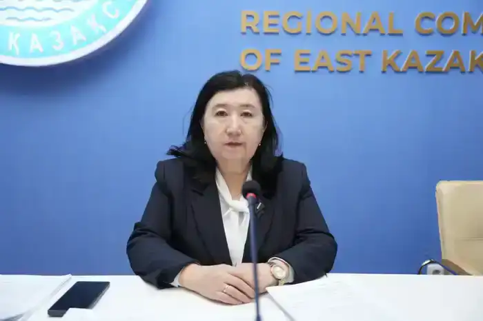 В Казахстане стартовала новая налоговая эра для бизнеса (2)