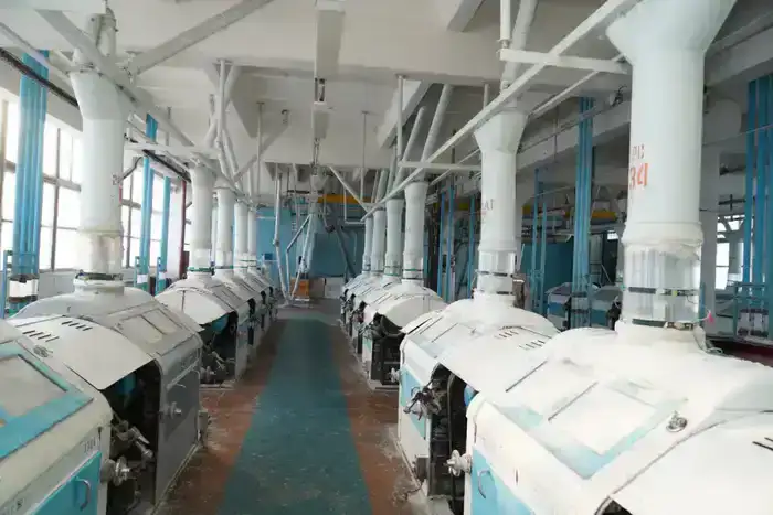 В ТУРКЕСТАНСКОЙ ОБЛАСТИ МОДЕРНИЗИРОВАН И ЗАПУЩЕН СОВРЕМЕННЫЙ ЗАВОД ПО ПЕРЕРАБОТКЕ ПШЕНИЦЫ (9)