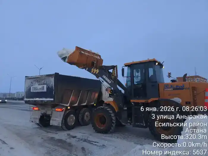 В Астане для очистки города от снега задействовано более 1 800 единиц спецтехники (7)