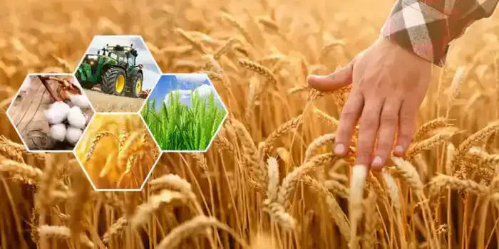 Рост инвестиций в агропромышленный комплекс Актюбинской области создает новые рабочие места и укрепляет экономику региона