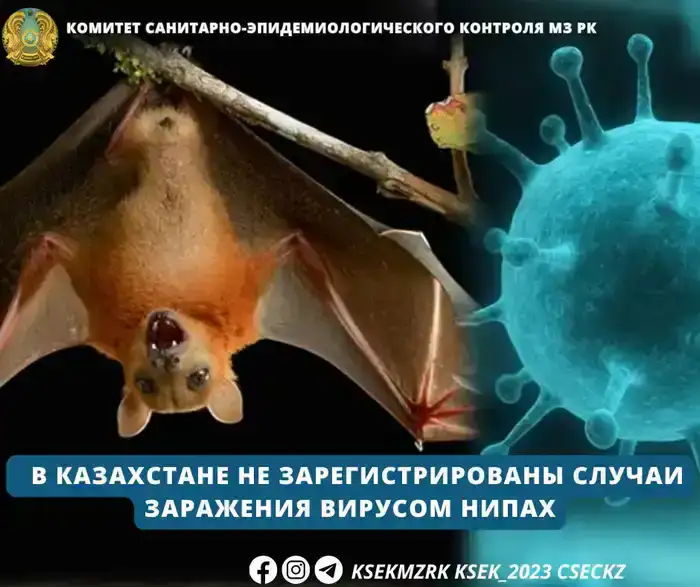Усиление санитарно-карантинного контроля в Казахстане на фоне угрозы вируса Нипах
