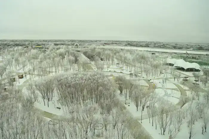 Делегация Актюбинской области прибыла в Кызылординскую область (10)