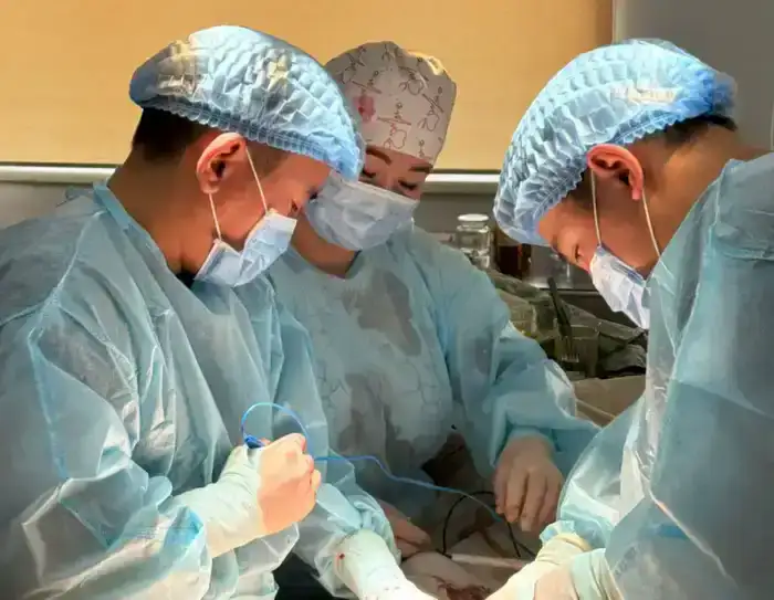 Современные технологии в медицине доступная высокотехнологичная помощь гражданам